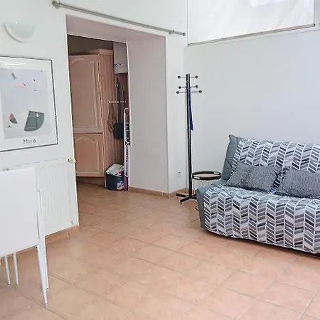 Appt F2 Climatise Avec Jardin Face Aux Thermes * Vichy