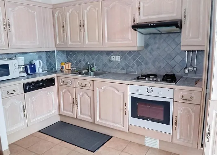 Appt F2 Climatise Avec Jardin Face Aux Thermes Apartament Vichy