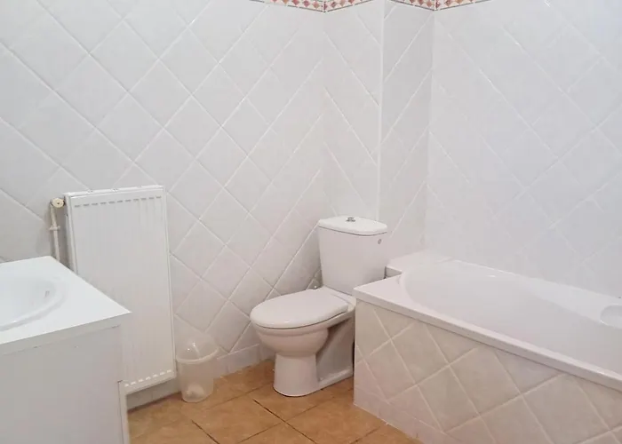 Appt F2 Climatise Avec Jardin Face Aux Thermes Vichy