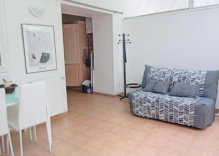 Appt F2 Climatise Avec Jardin Face Aux Thermes * Vichy