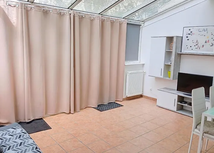 Appt F2 Climatise Avec Jardin Face Aux Thermes * Vichy